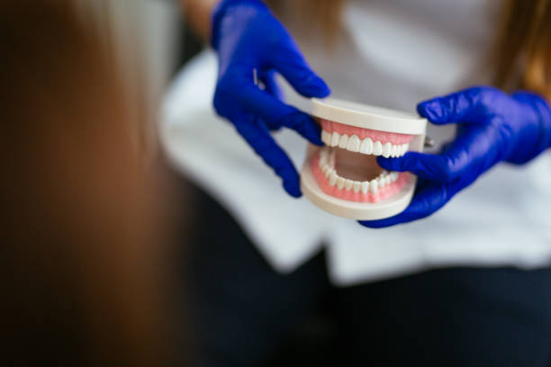 Best Traditional Braces  in Dunean, SC